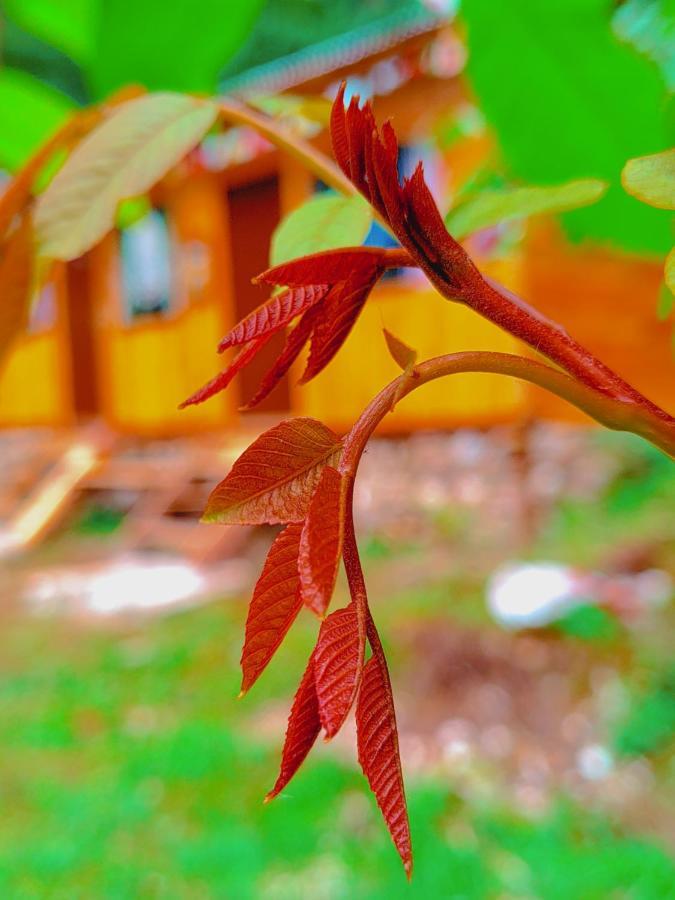 Shanti People Huts & Camp Kasol Extérieur photo